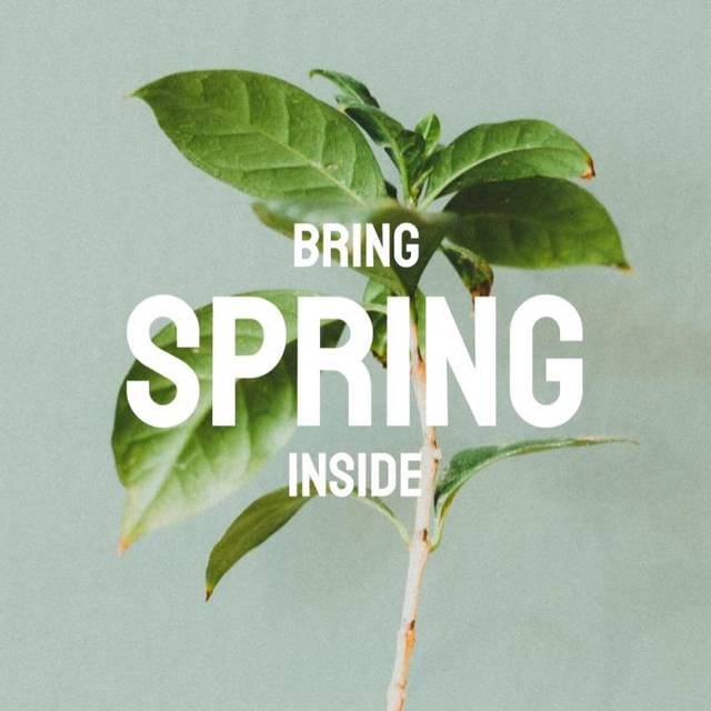 Spring Home Sale Video Template By Vimeo